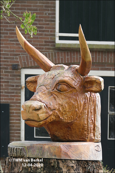 Rund (2)