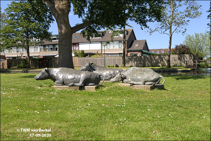 Drie koeien