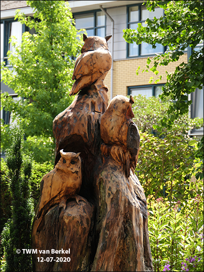 Uilennest