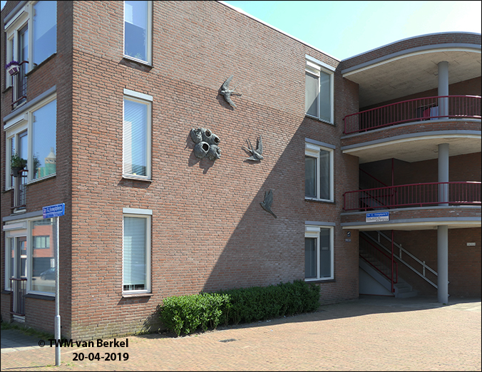 Nestelende zwaluwen