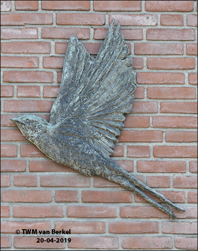 Nestelende zwaluwen