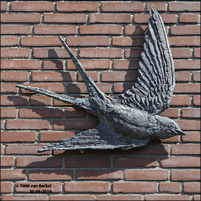 Nestelende zwaluwen