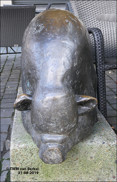Hangbuikzwijn
