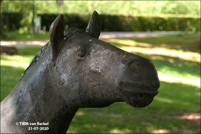 Twee jonge paarden