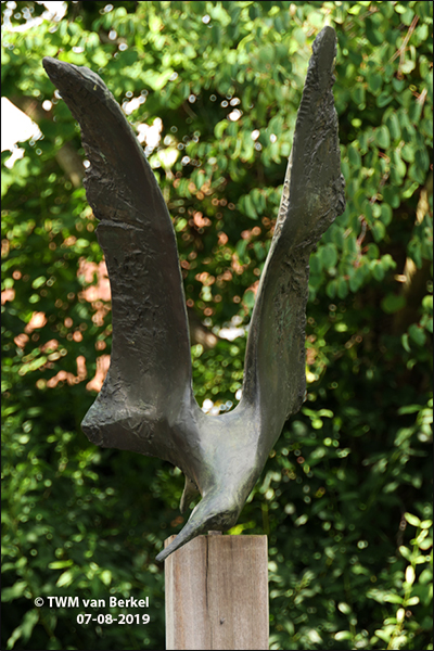 Duikvlucht