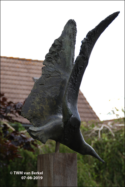 Duikvlucht