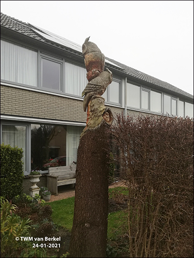 Uilen en uilskuiken