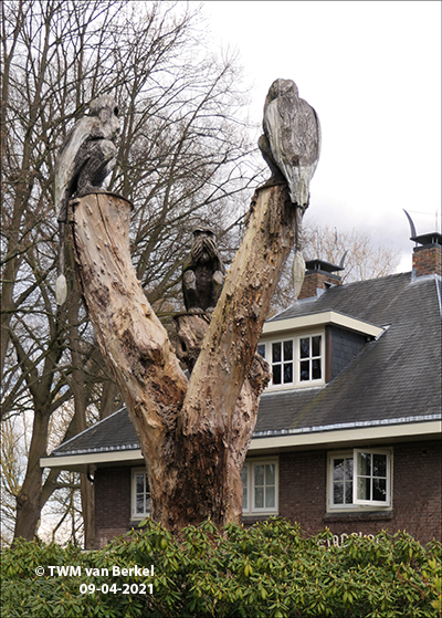 Hoor niets zie niets zeg niets