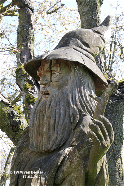 Vogelboom en tovenaar