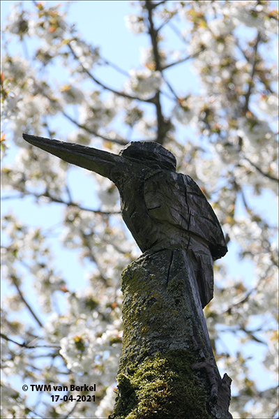 Vogelboom en tovenaar