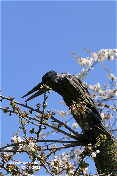 Vogelboom en tovenaar