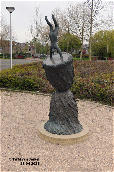 Zwerkduiker