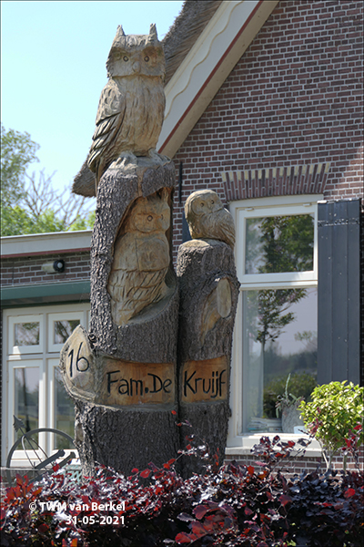 Uilenboom