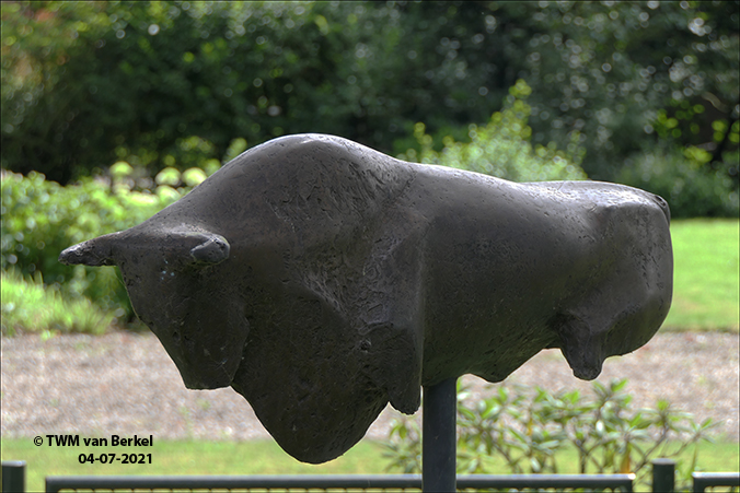 Stier