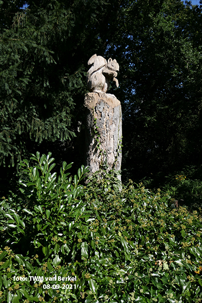 Eekhoorn