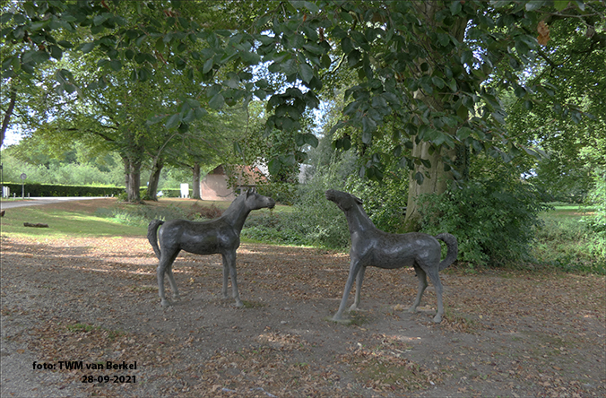 Twee jonge paarden