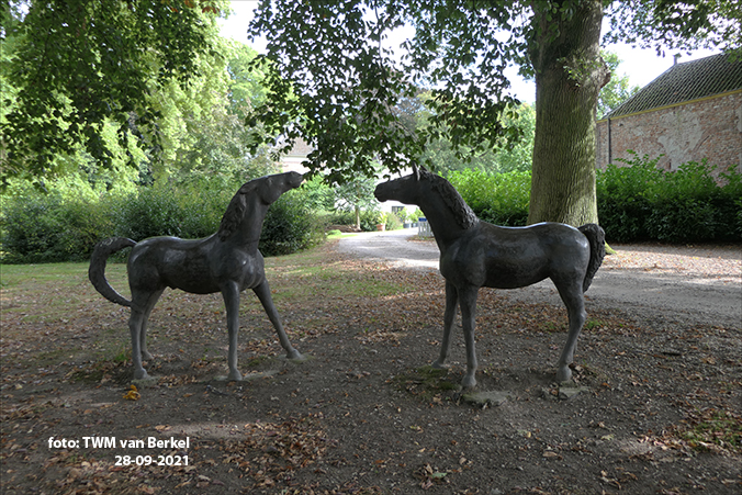 Twee jonge paarden
