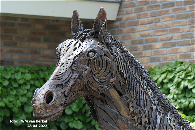 Paard
