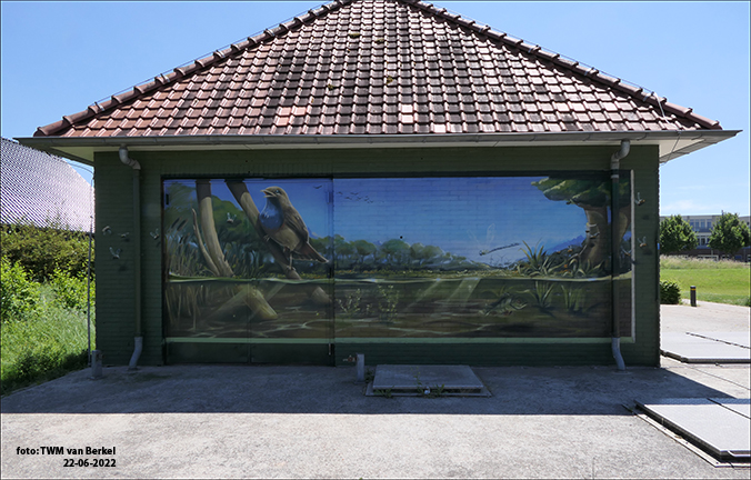 The Wet Five